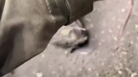 Ukraine War - American mercenaries