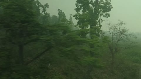 India Travel or Tour // India Holiday's // Traveling India