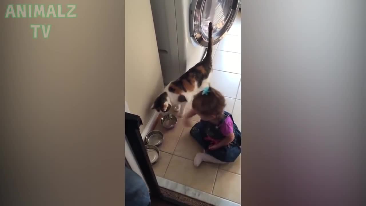 Bebês fofos rir histericamente na compilação de animais de estimação