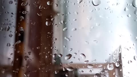Alexandria in the winter