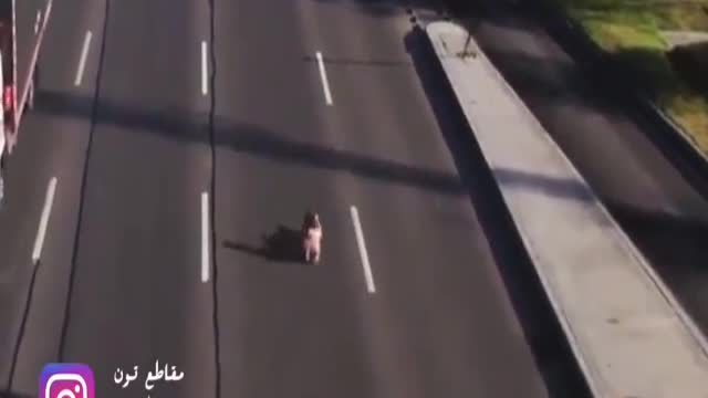 this crazy man | He almost died See what happened