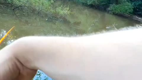 Topwater blow up!