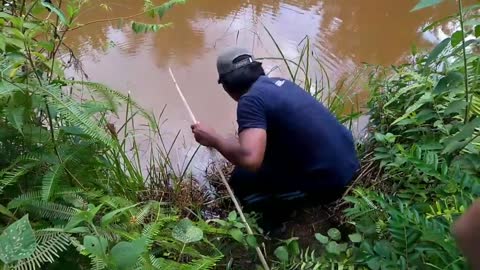 Strike! Sneakhead on Palm Oil River