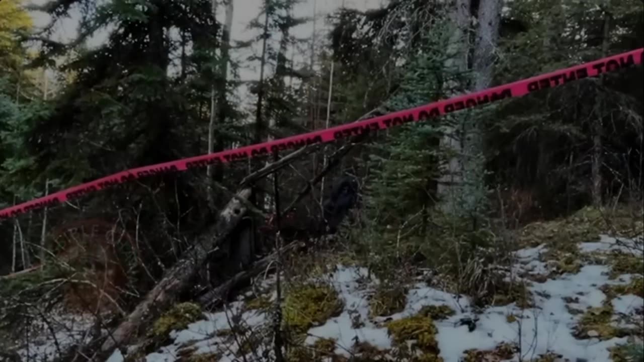 🤯🎥 Mind-Boggling "NO WAY" TikTok Videos: Leaving Viewers Speechless 🤯🎥