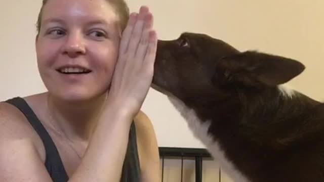 Woman trains black and white dog to whisper in her ear