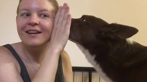 Woman trains black and white dog to whisper in her ear