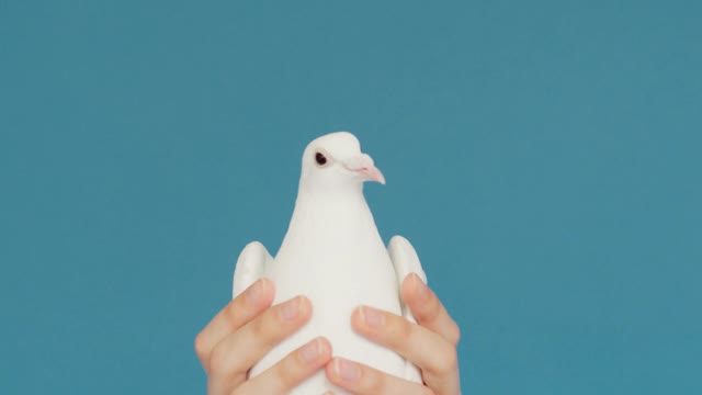 Cute of nature