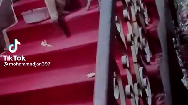 Cats fighting on stair