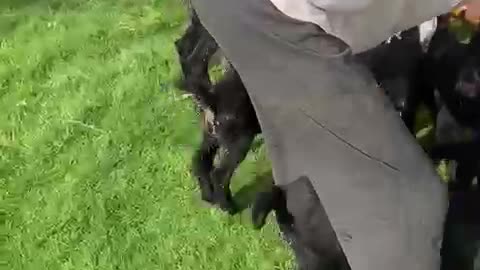 Lovely Moment - This man way of feeding kids is adorable.