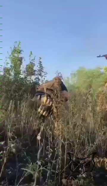 Russian Forces Close Quarter Combat With Ukrainian Militants