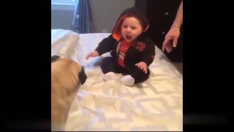 Baby can't stop playing with the doggy