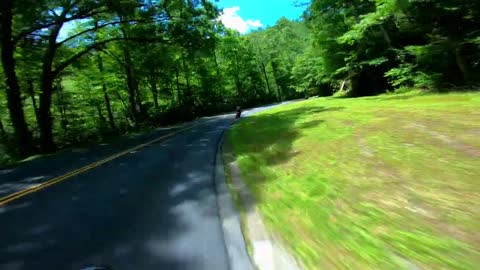 Relaxing Music | Sleeping, Meditation, Stress Relief | [5955] ⭐️