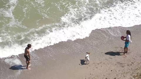 Summer beach sea ocean and Cute Dong