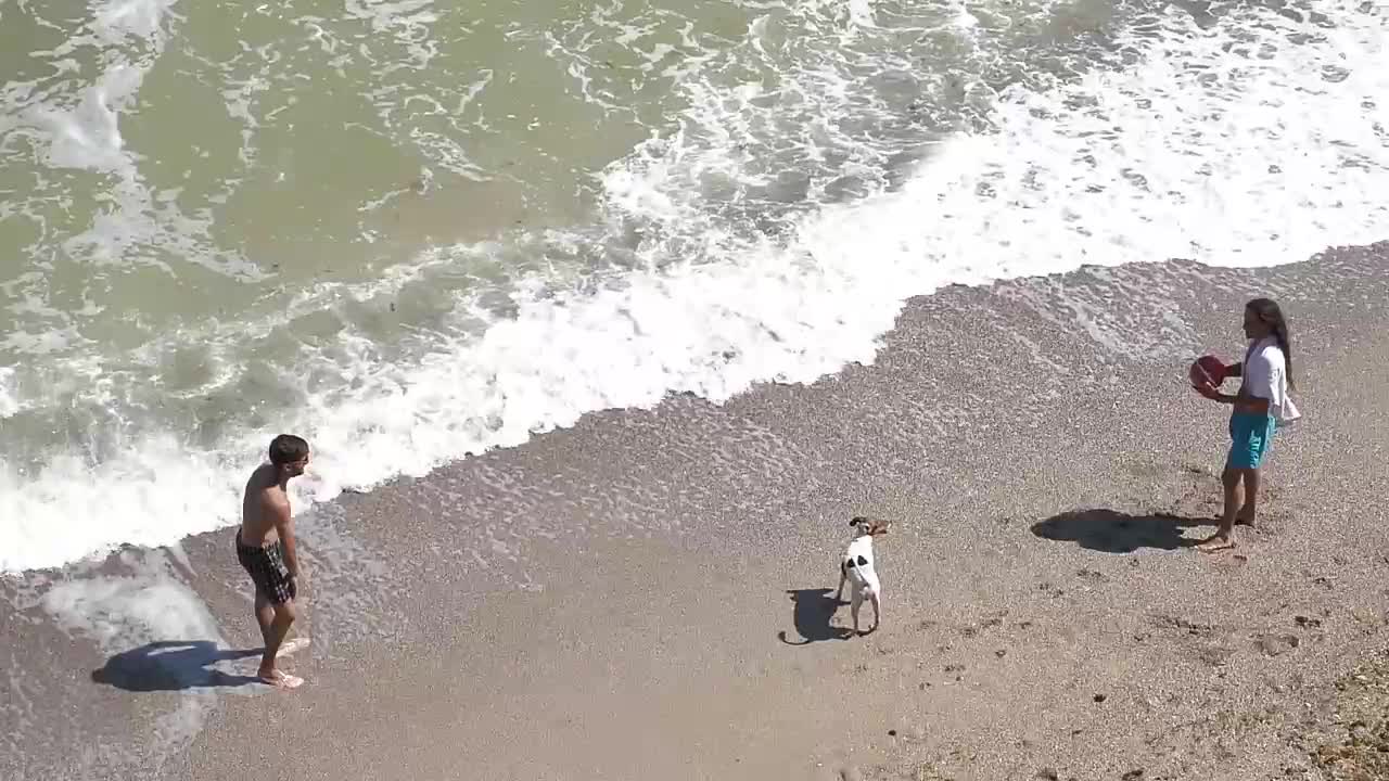 Summer beach sea ocean and Cute Dong