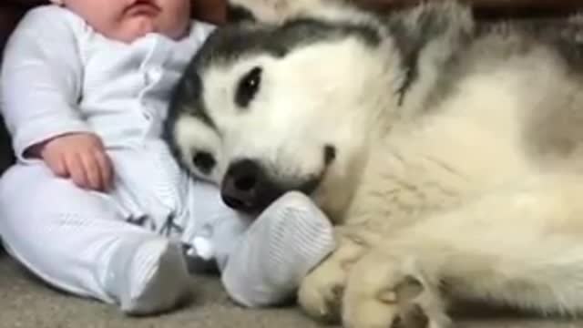 I'll always protect you 😍💙!