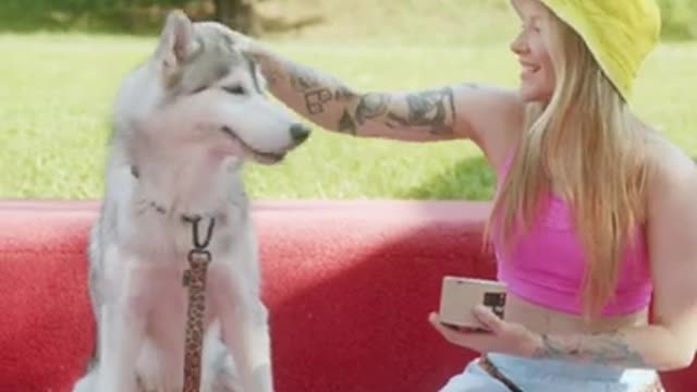 funny dog training | amazing dog | funny dog really amazing