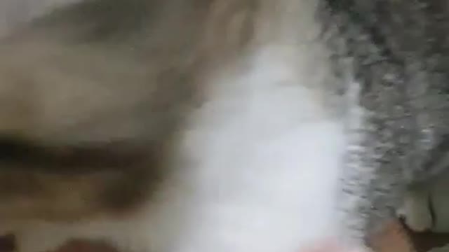 I'm coming with you, cat. luckypunch