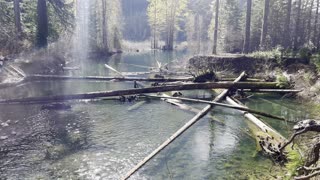 Gale Creek Estuary Flowing into Kachess Lake – Okanogan-Wenatchee – Washington – 4K