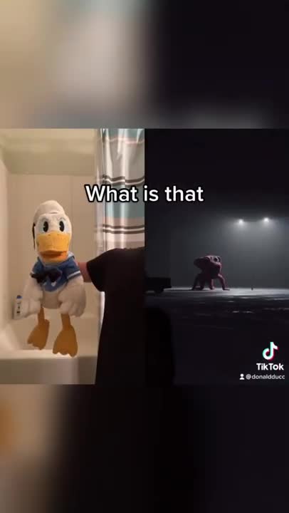 Donald Duck is still scared #shorts