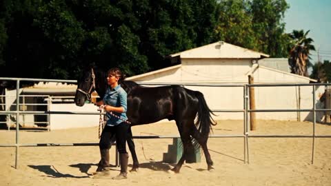 Horse riding, the biggest horse, The biggest horses, catch a rogue mustang horse,