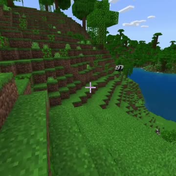 PANDA!!!... Let's name him Po :) Minecraft