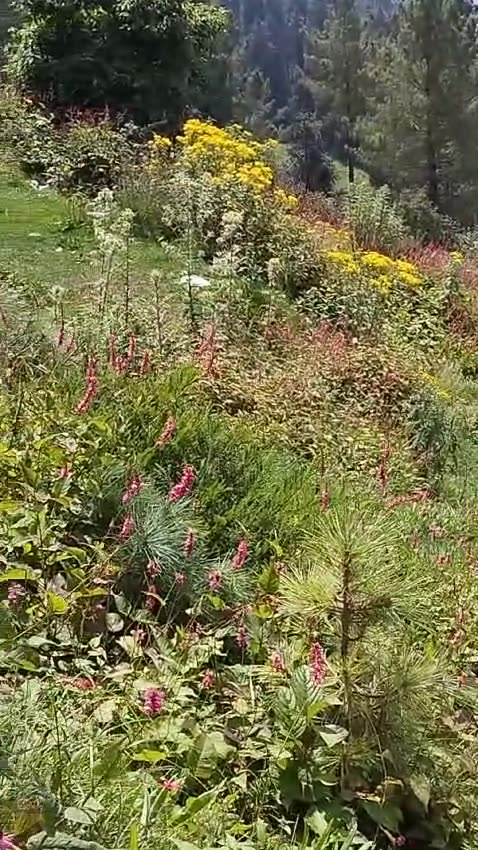 Trip to Pakistan 2024-26