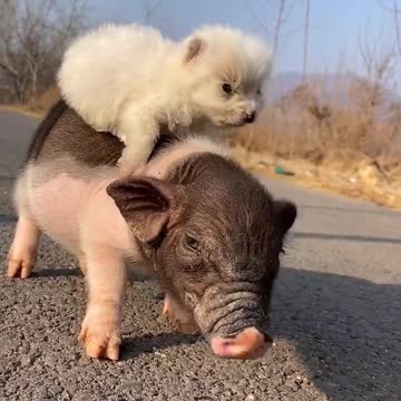 Let's exercises together