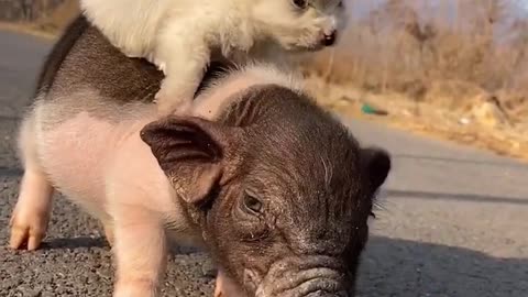 Let's exercises together