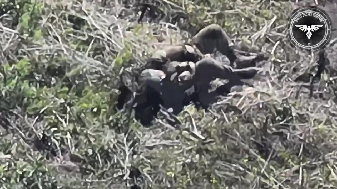 The 47th OMBr strike UAV company hunts for Russian soldiers after attack