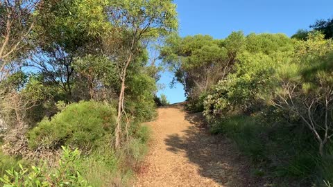 Australian Bush walk on Emu Mountain Adventure Walk Short (Breath & Relax) Part 6