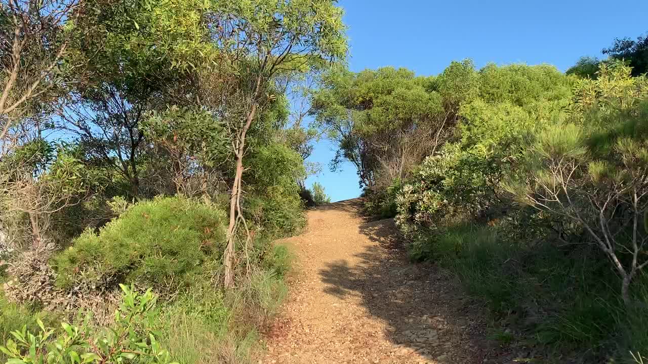 Australian Bush walk on Emu Mountain Adventure Walk Short (Breath & Relax) Part 6