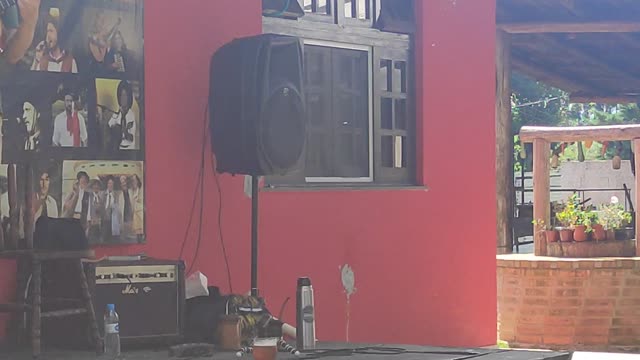 Música gaúcha linda por demais