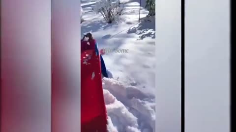 Funny Videos || Try not To Laugh || Impossible||🤣🤣🤣😅😅😅