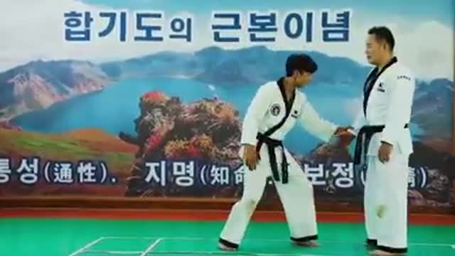 K.H.F. (Korea Hapkido Federation)