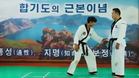 K.H.F. (Korea Hapkido Federation)