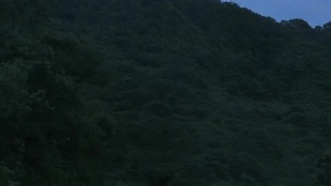 Traveling on a nature road at dusk