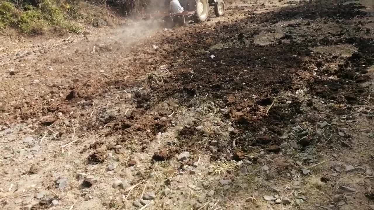 Wheat crop farming in a remote area