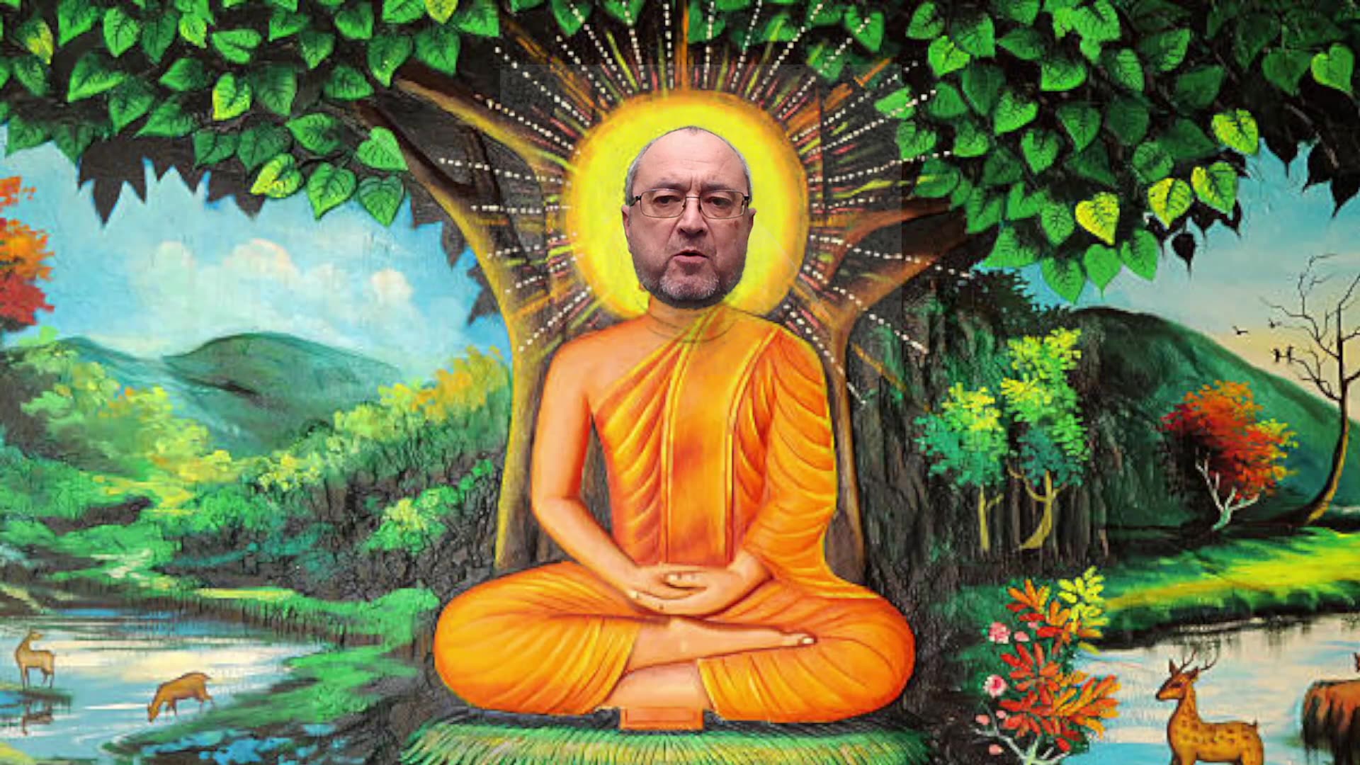 Words of Wisdom. Dont Give a Fuck.