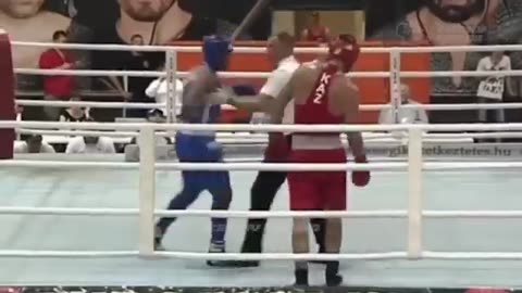 funny boxing moments