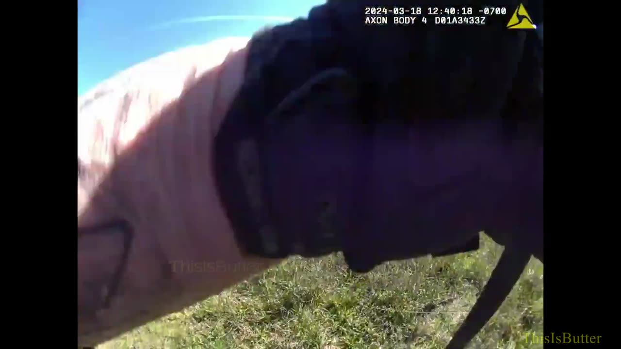 Pierce County release bodycam video of K9 Eddie tracking down and biting a wanted man