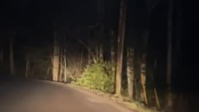How Wayz sent me to avoid I-77 toll in WV