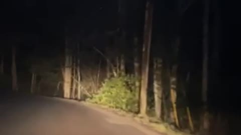 How Wayz sent me to avoid I-77 toll in WV