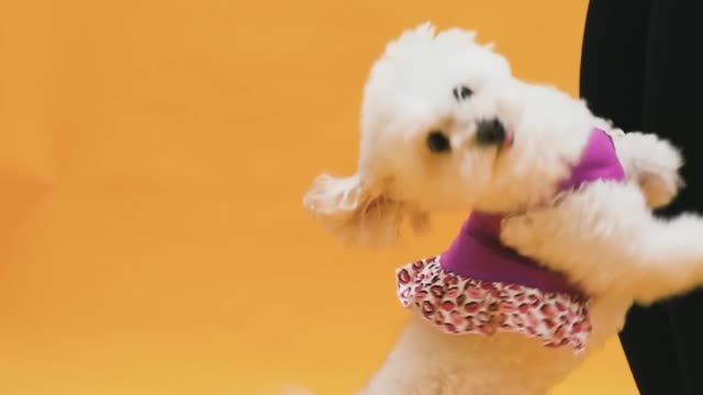 Cuty playing with her friend 😁❣️ Must wathch what she do