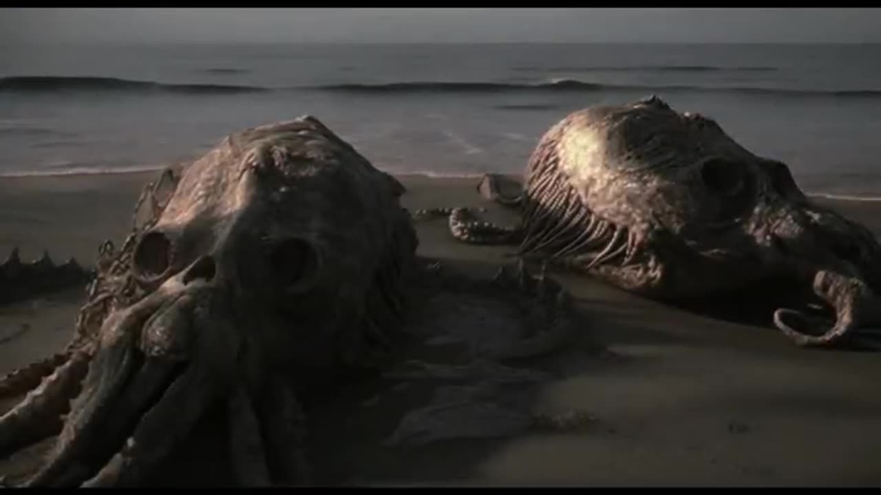 SEA MONSTERS WASHING UP ON BEACHES EVERYWHERE