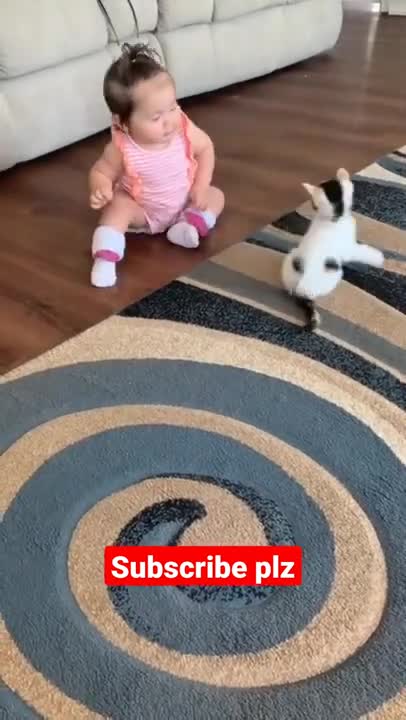 ## both are so cute 🥰😘😀## small cat vs cute baby 💕🥰💝## short whatsapp status video//short//