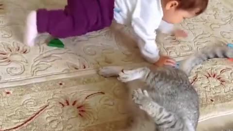 Funny cats and kids