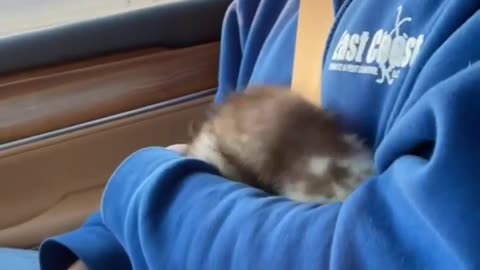 Introduction to my new sister SANDY!