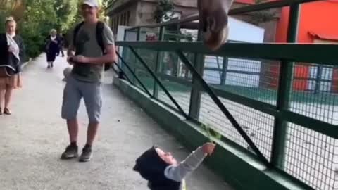 so cute baby