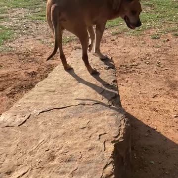 June 9, 2022 oklahoma. These pictures and videos are going to do things…..