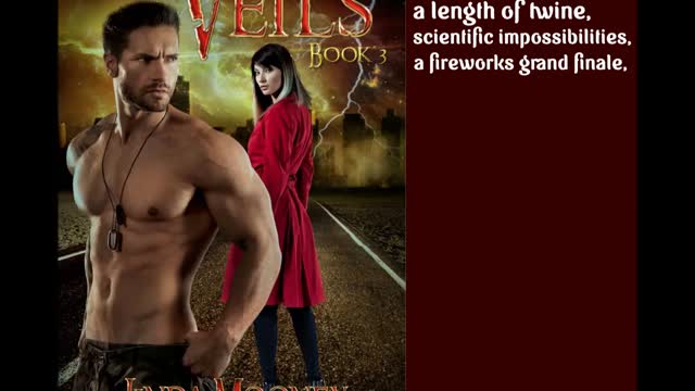 VEILS, Book 3, a Sci-Fi /Time Travel Romance